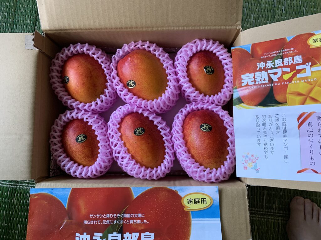 沖縄のマンゴー
