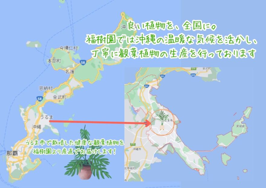 沖縄の地図　うるま市の位置