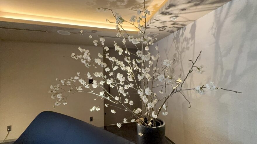 エントランスの桜
